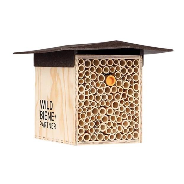BeeHome One