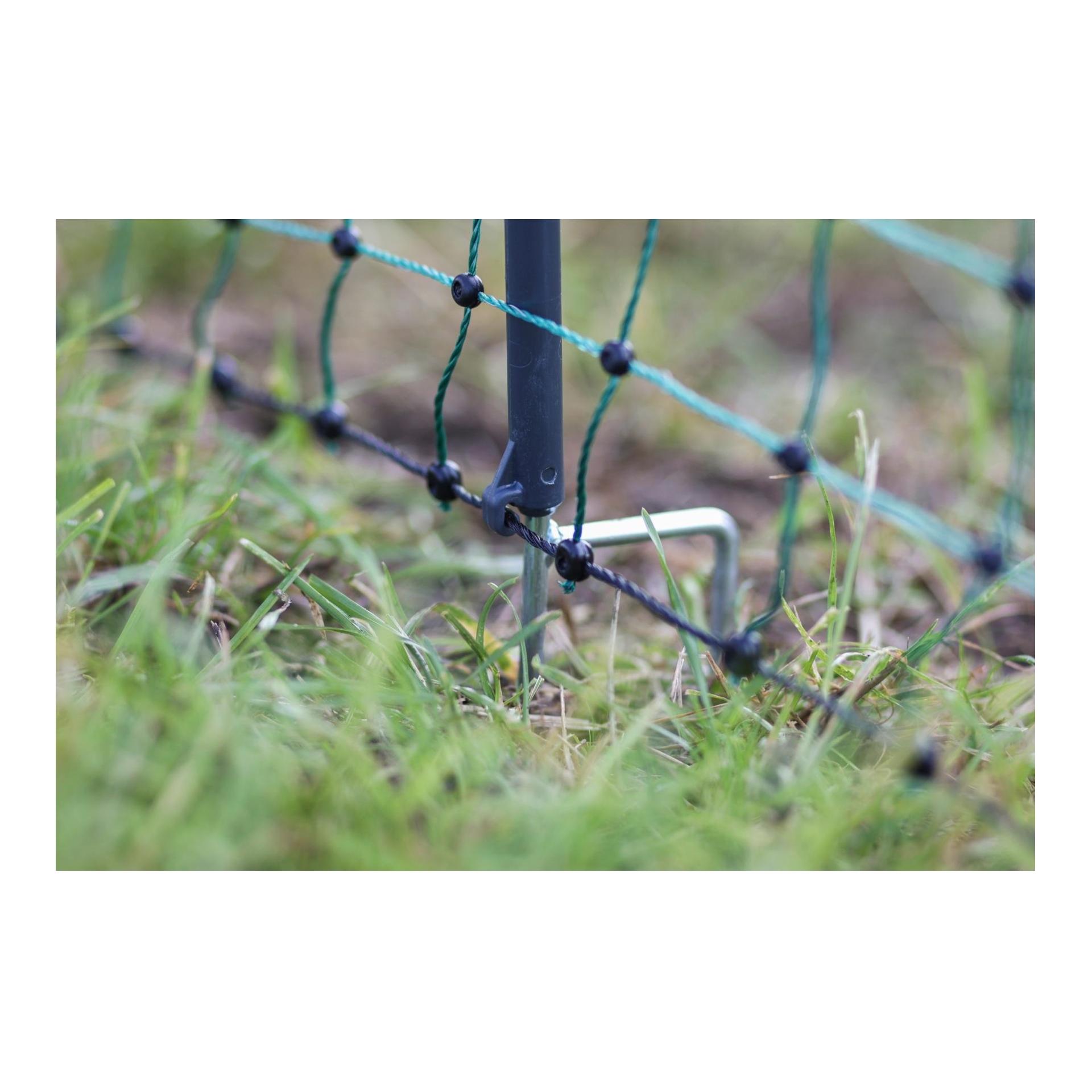 Geflügelnetz Premium - 122 cm x 50 m