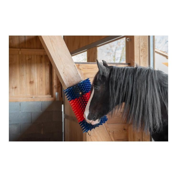 Brosse à gratter XL