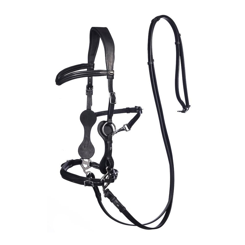 F.R.A Zaum Hackamore Calli schwarz