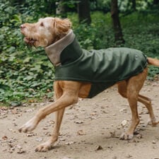 HP-Hund-225x225-Bekleidung