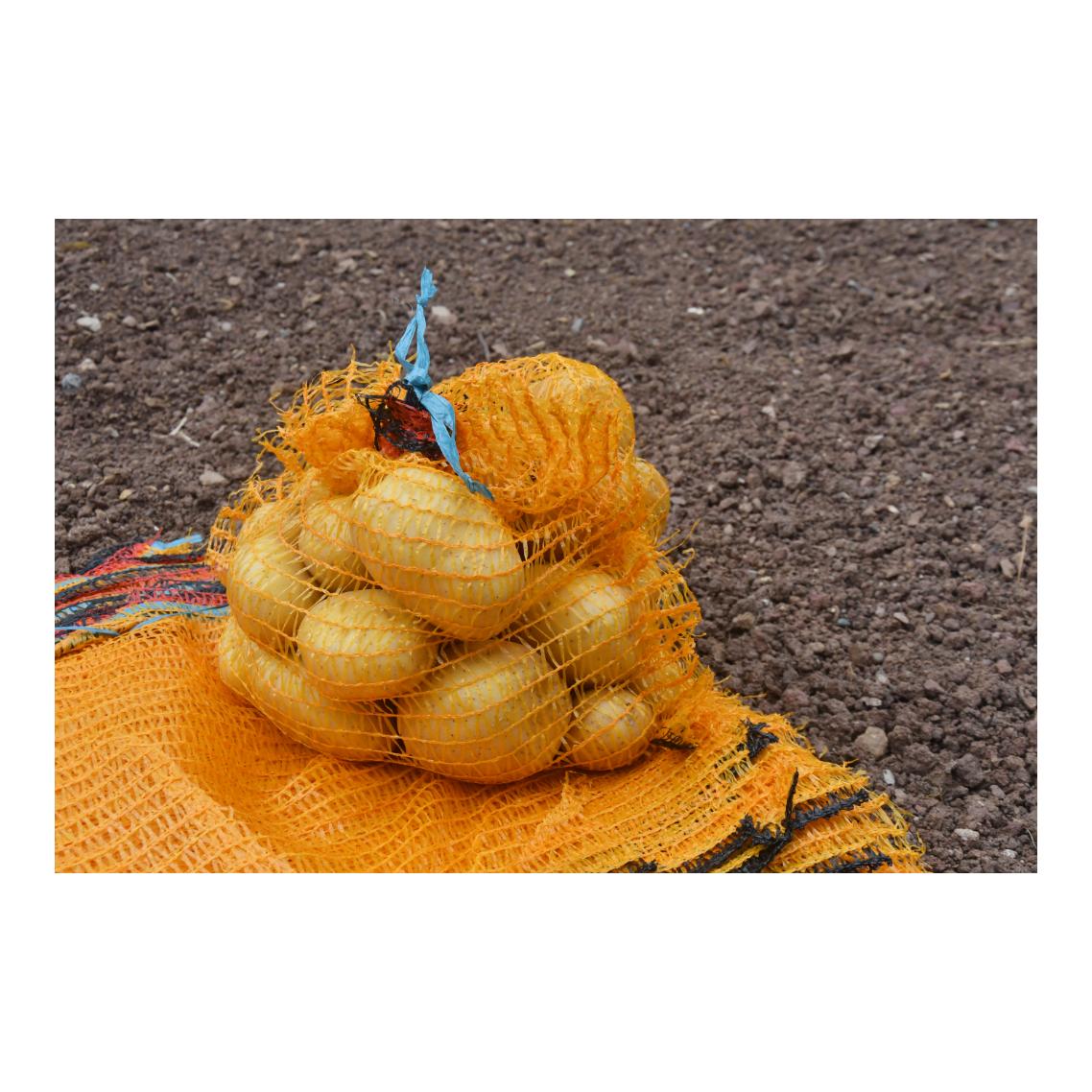 Kartoffelsäcke / Obstsäcke mit Zugband - 100 Stück