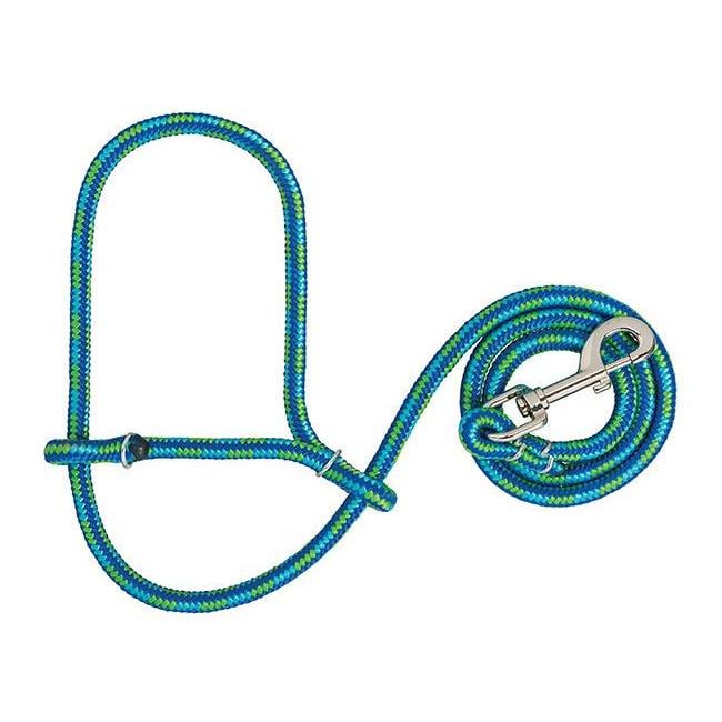 Lime/Hurricane Blue/Royal Blue