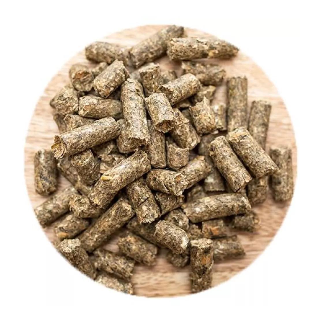 Xs Gastro Protect Standard