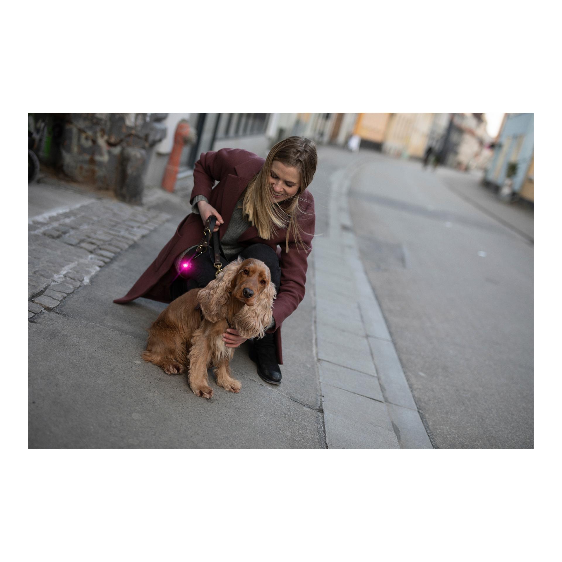 Safety Light Orbiloc Dog Dual - pink