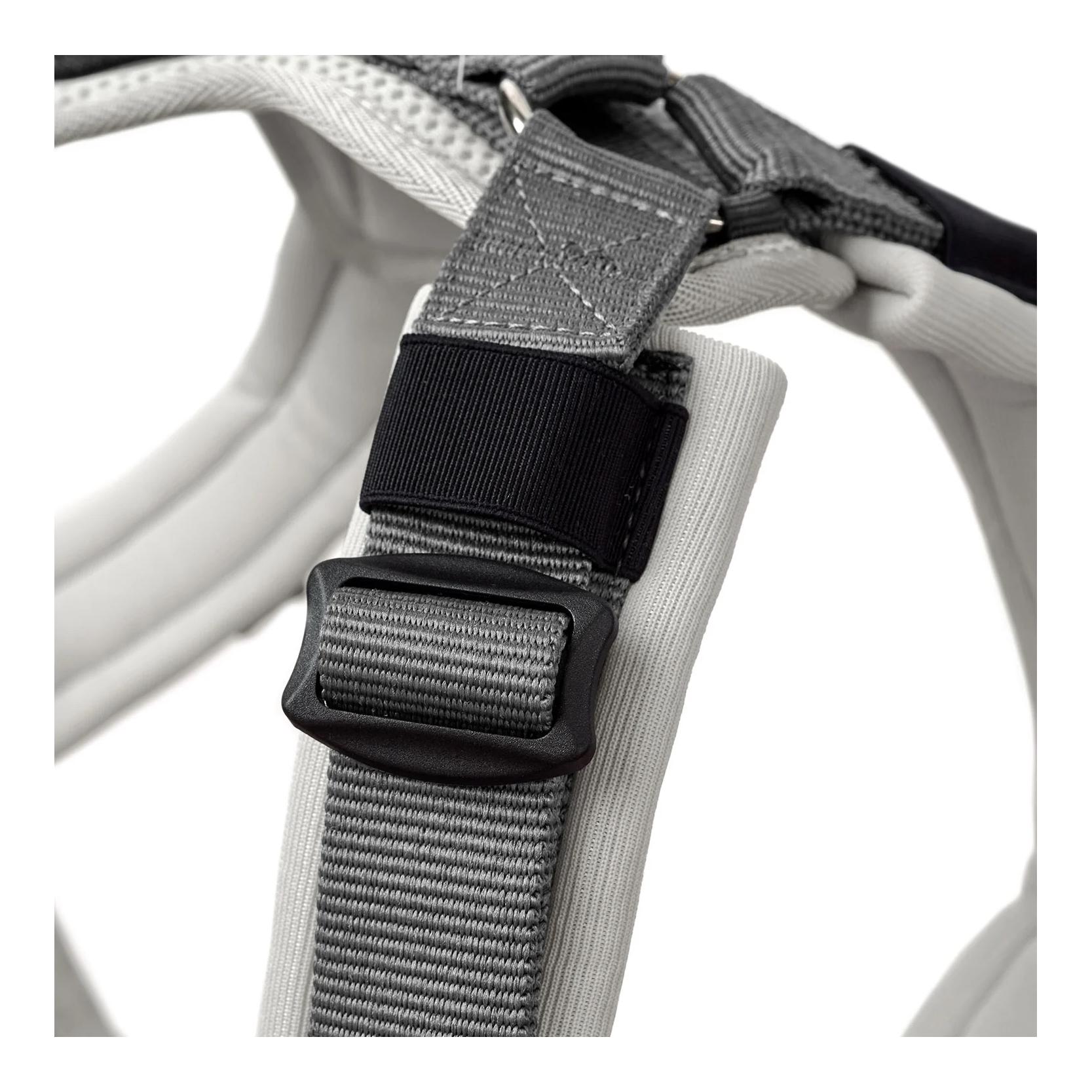 Hundegeschirr Maldon Up