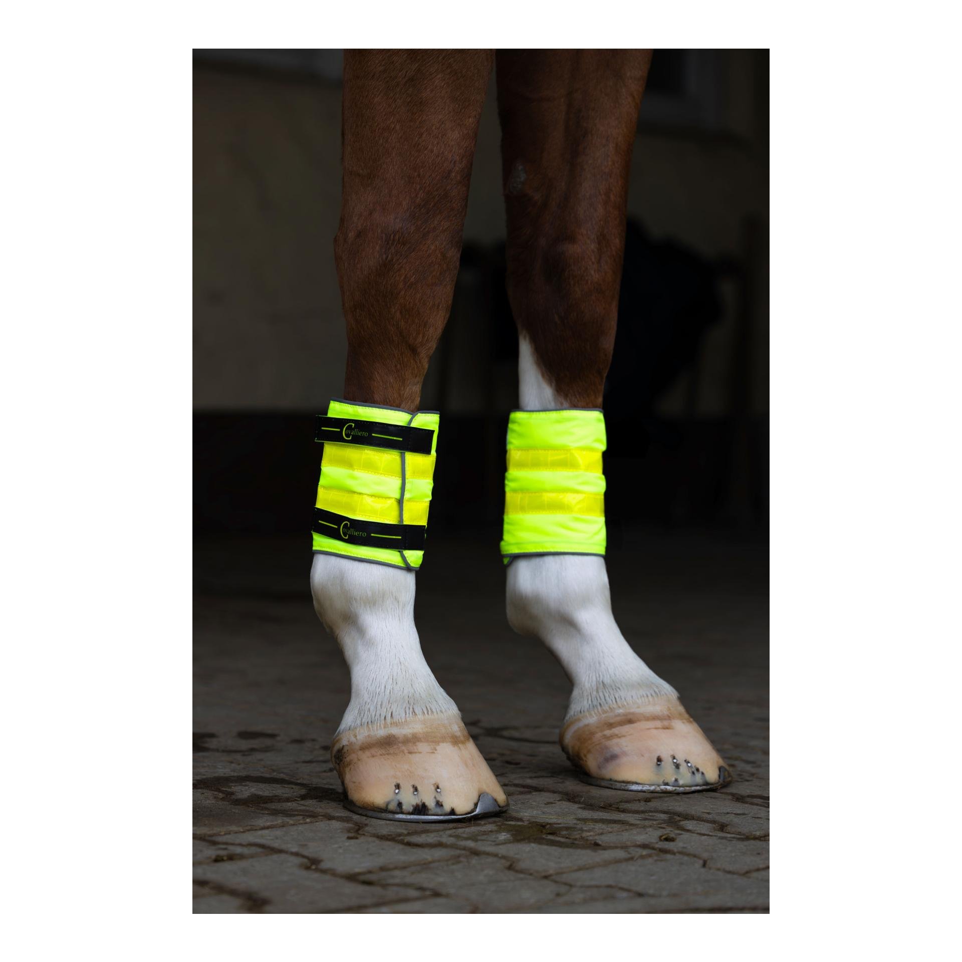 Covalliero Leuchtgamaschen Reflective