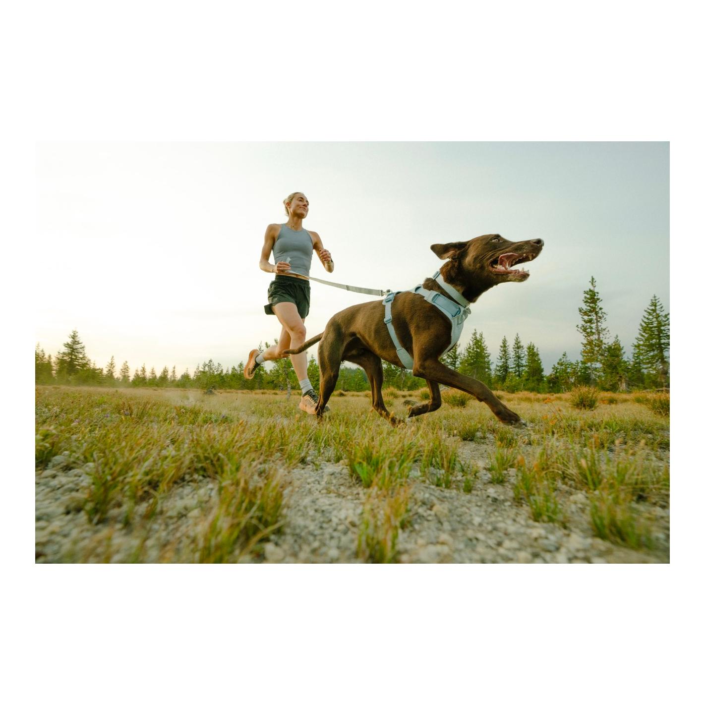 Ruffwear Front Range™ Flex Hundeleine