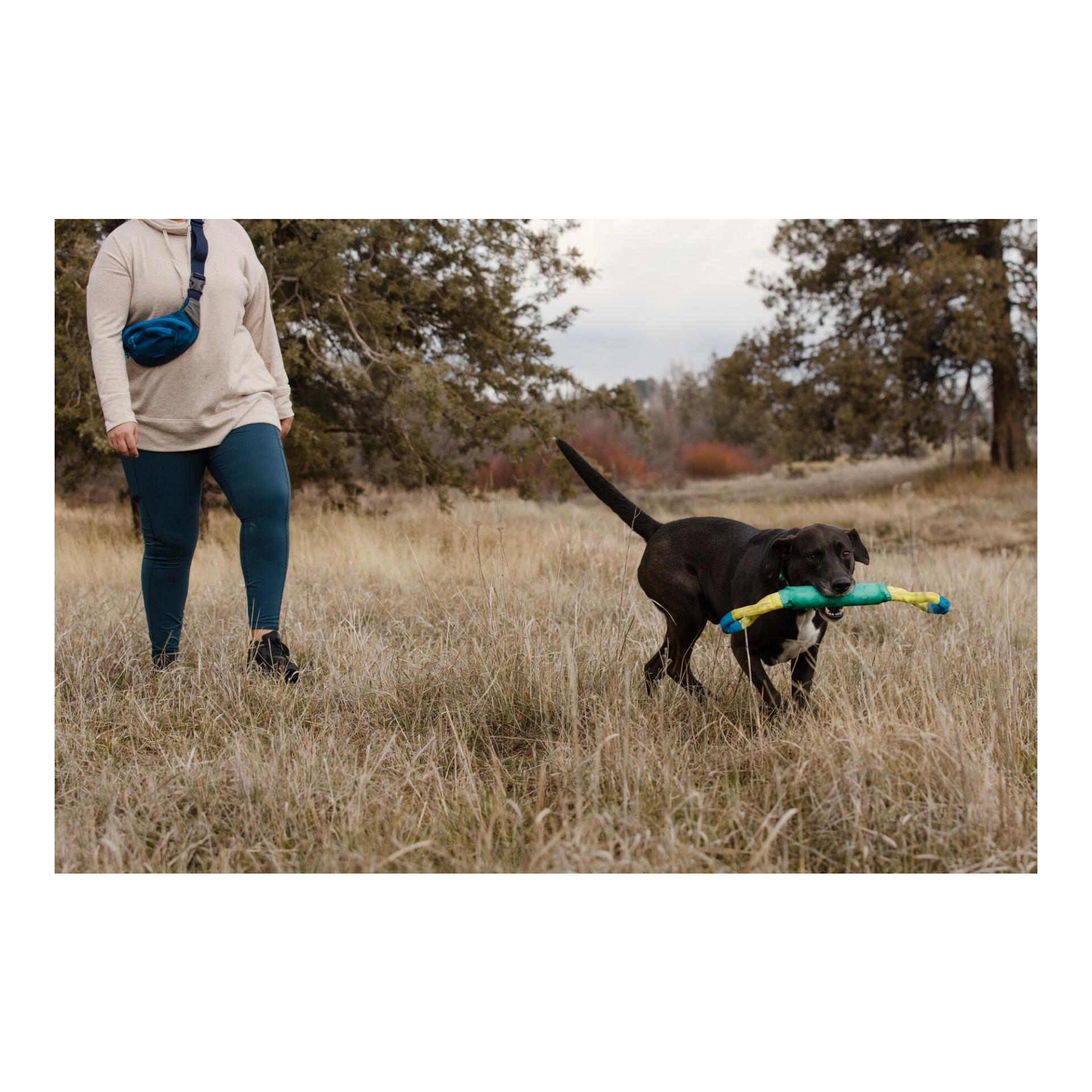 Ruffwear Pacific Loop™ Jouet pour chiens