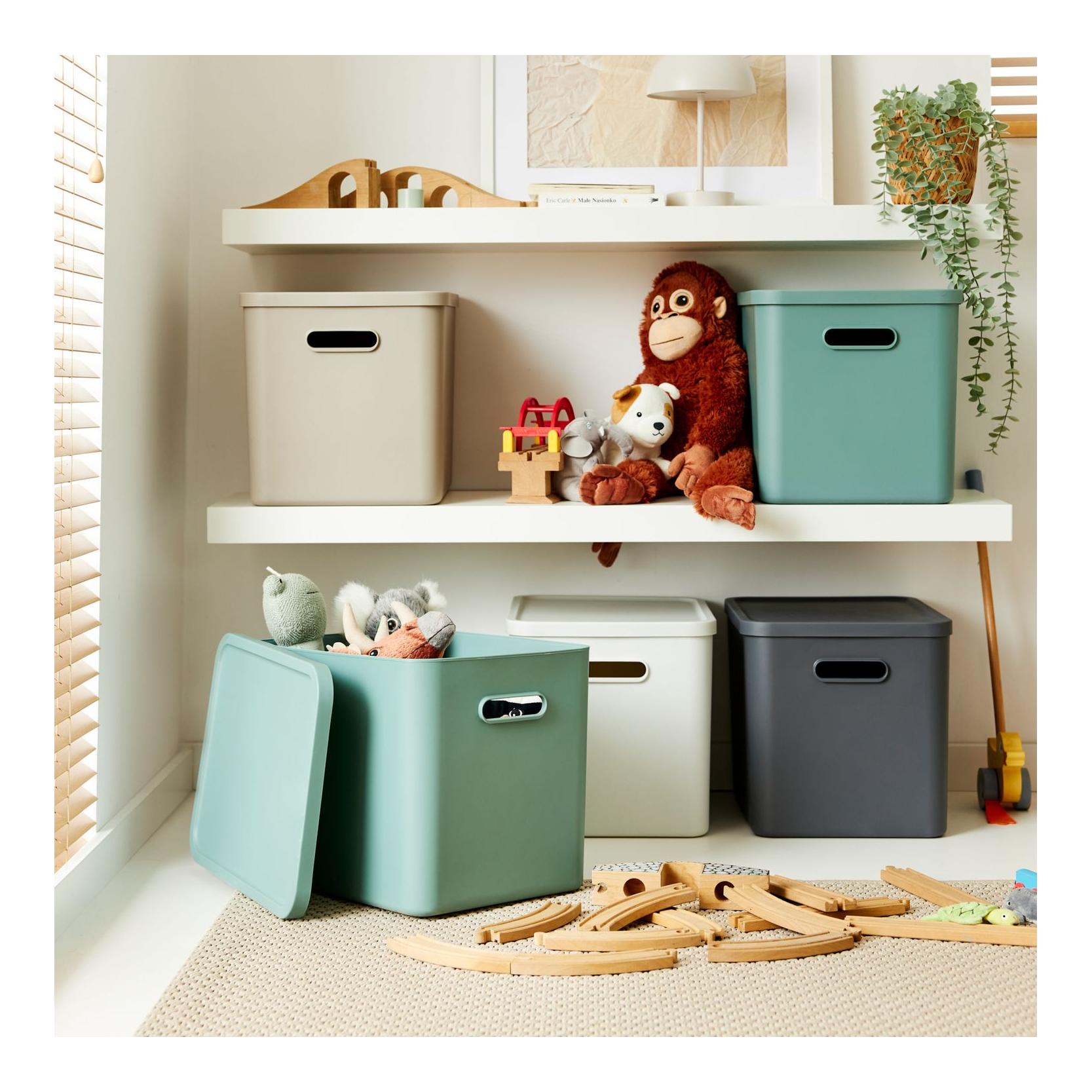 Rotho Multibox ALBULA