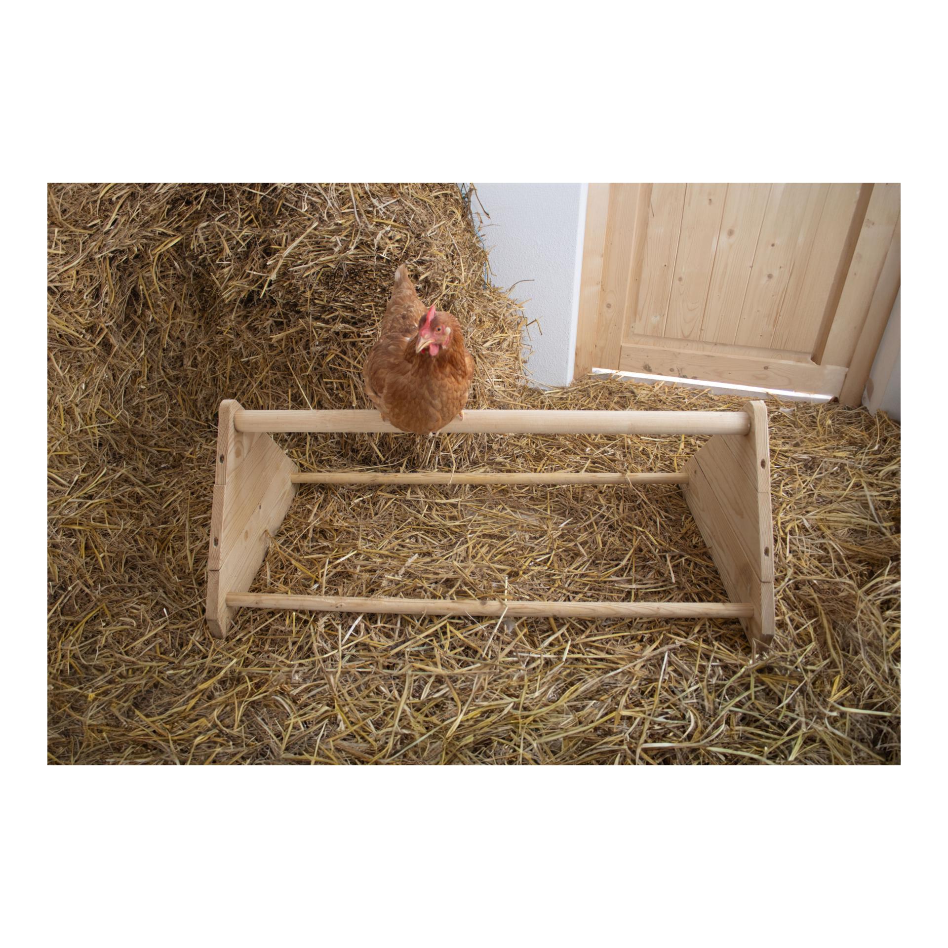 Sitzstange für Hühner