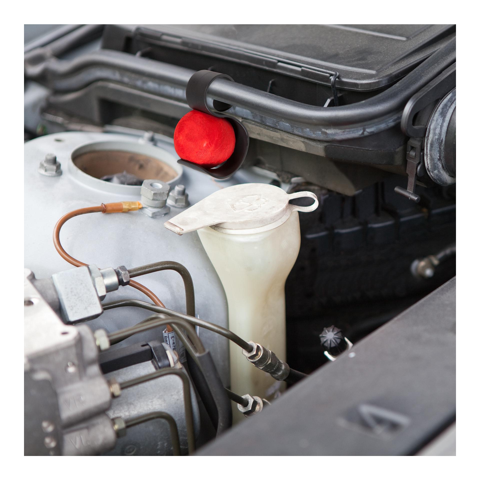 Marder-Stopp Car&Truck Bowls