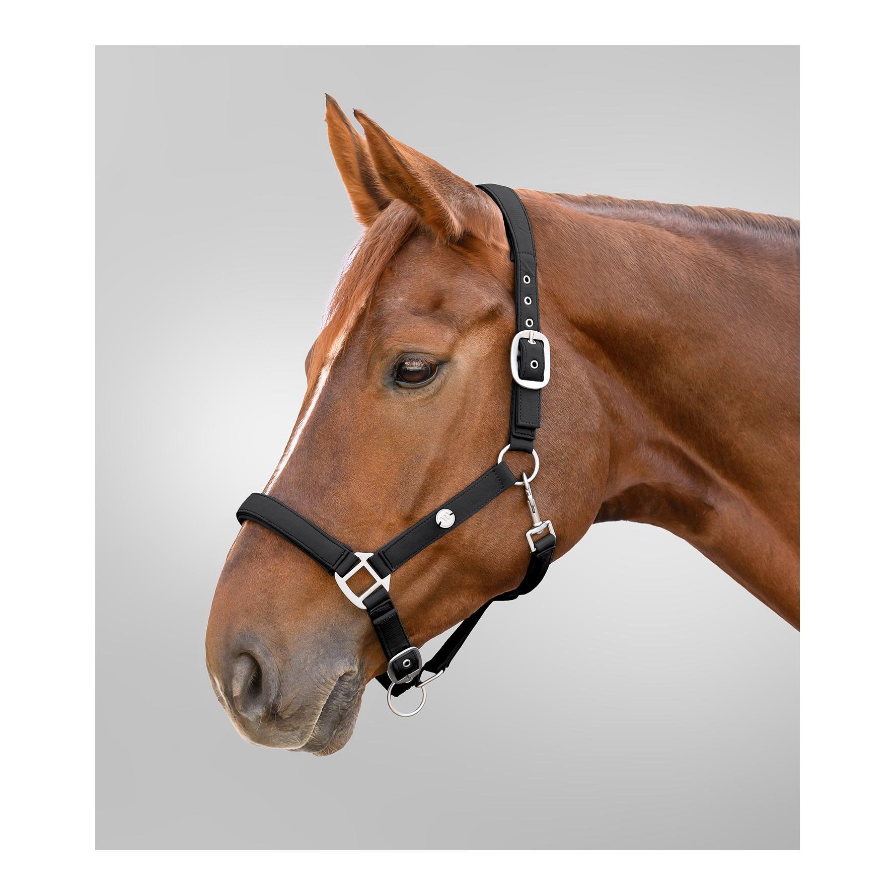 Waldhausen Halfter Trinidad