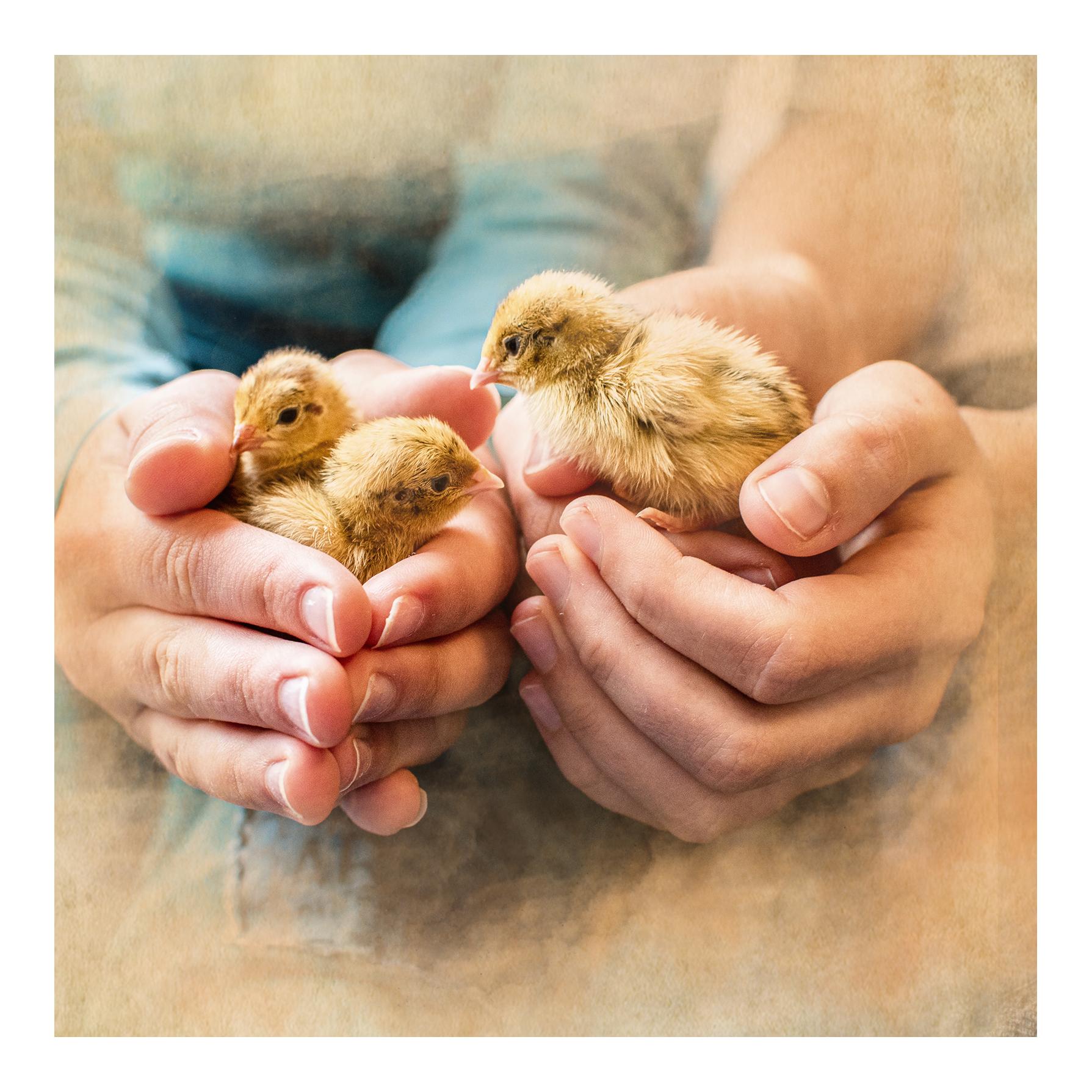 MiteProtect - für eine starke Abwehr