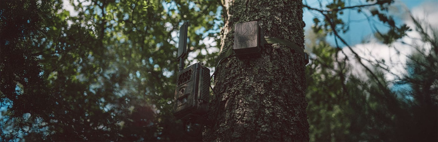 Hauptner-Jagd-Wildkameras