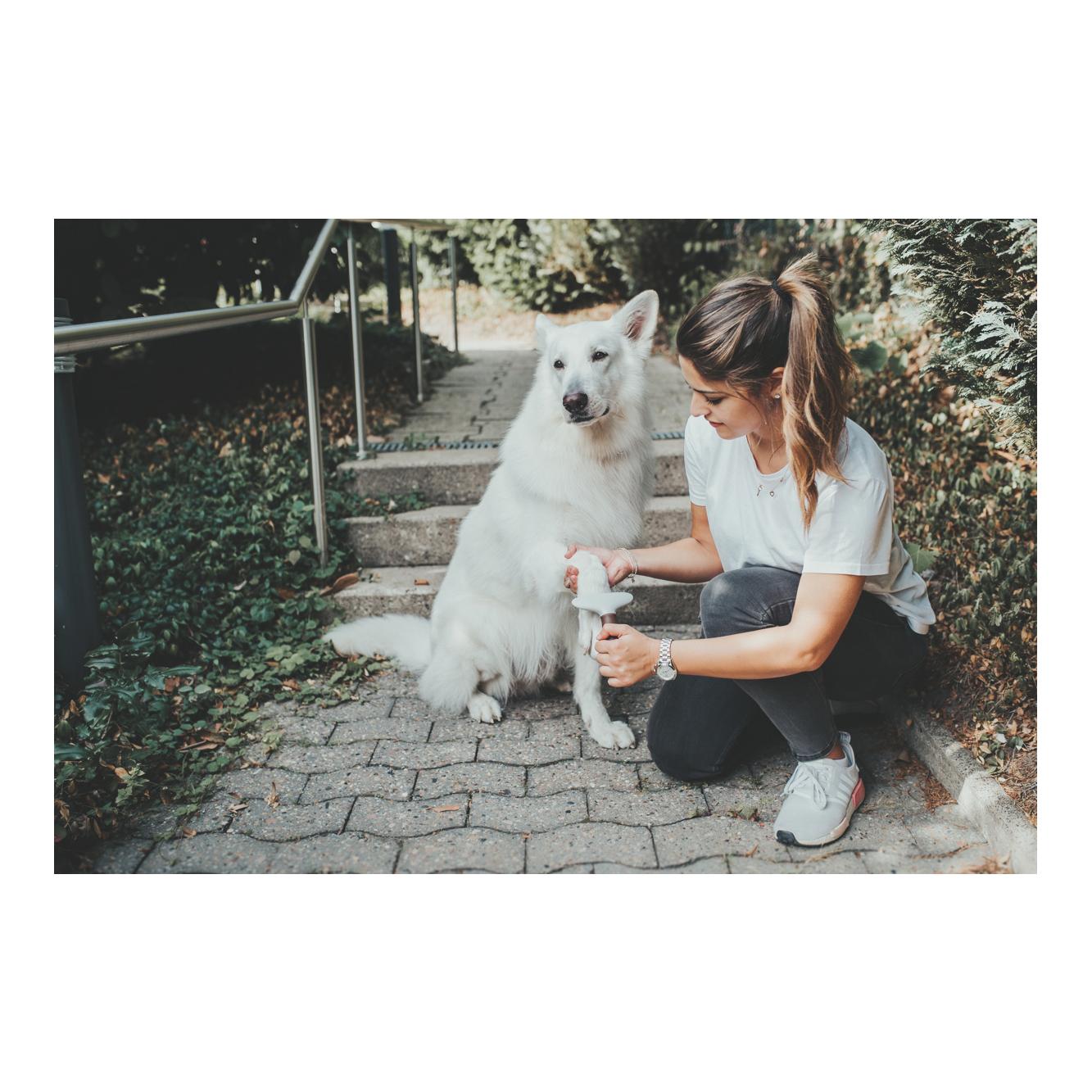 Entwirrungsstriegel zweireihig Spa