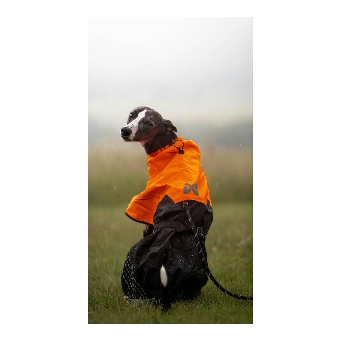 Fjord Regenmantel 2.0