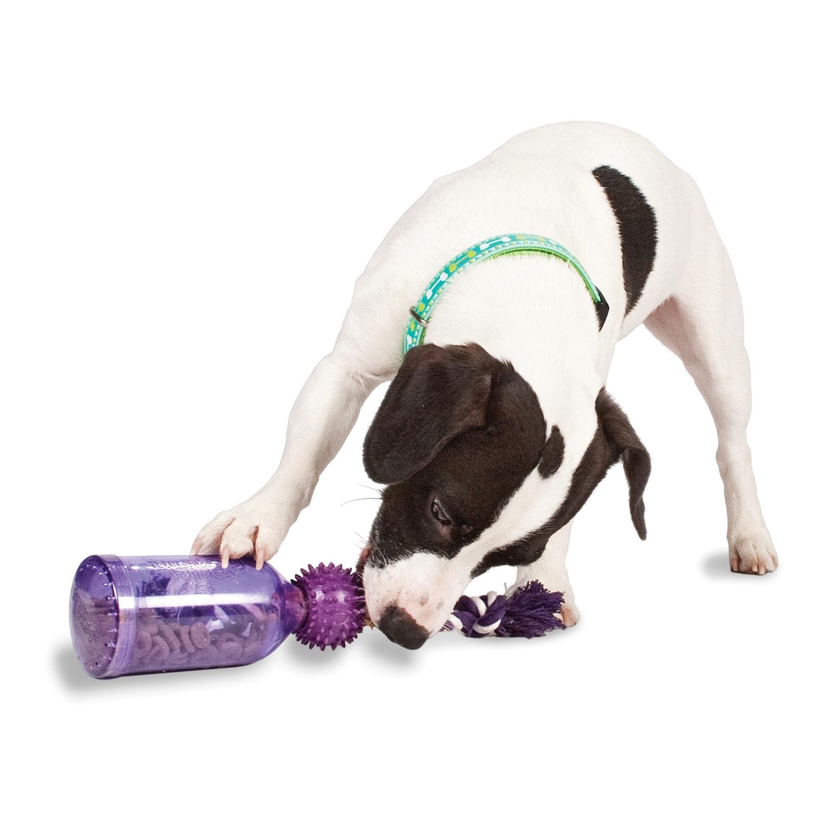 Premier Flasche Spielzeug