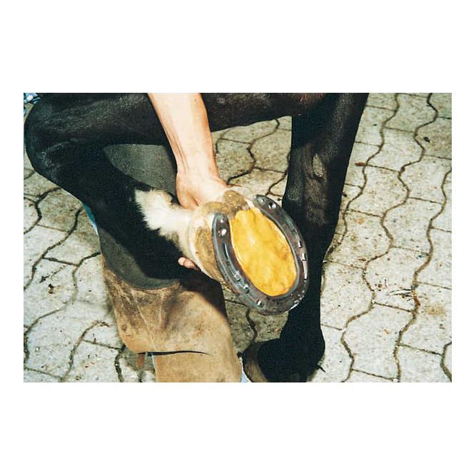 Image of Hauptner Huflederkit ZR - Braun - bei Hauptner.ch