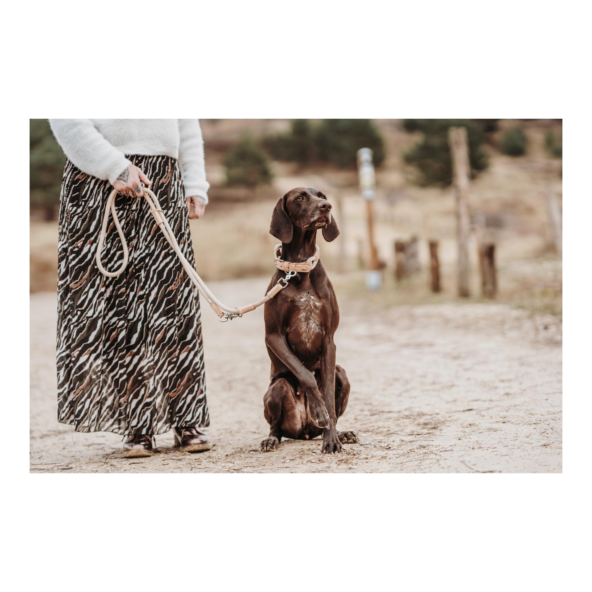 Laisse pour chien Malia