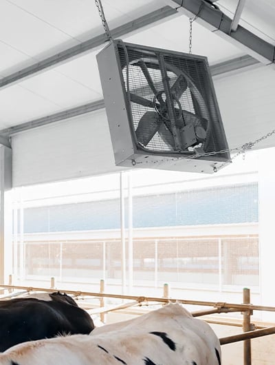HP_ShopBanner_Stallkuehlung