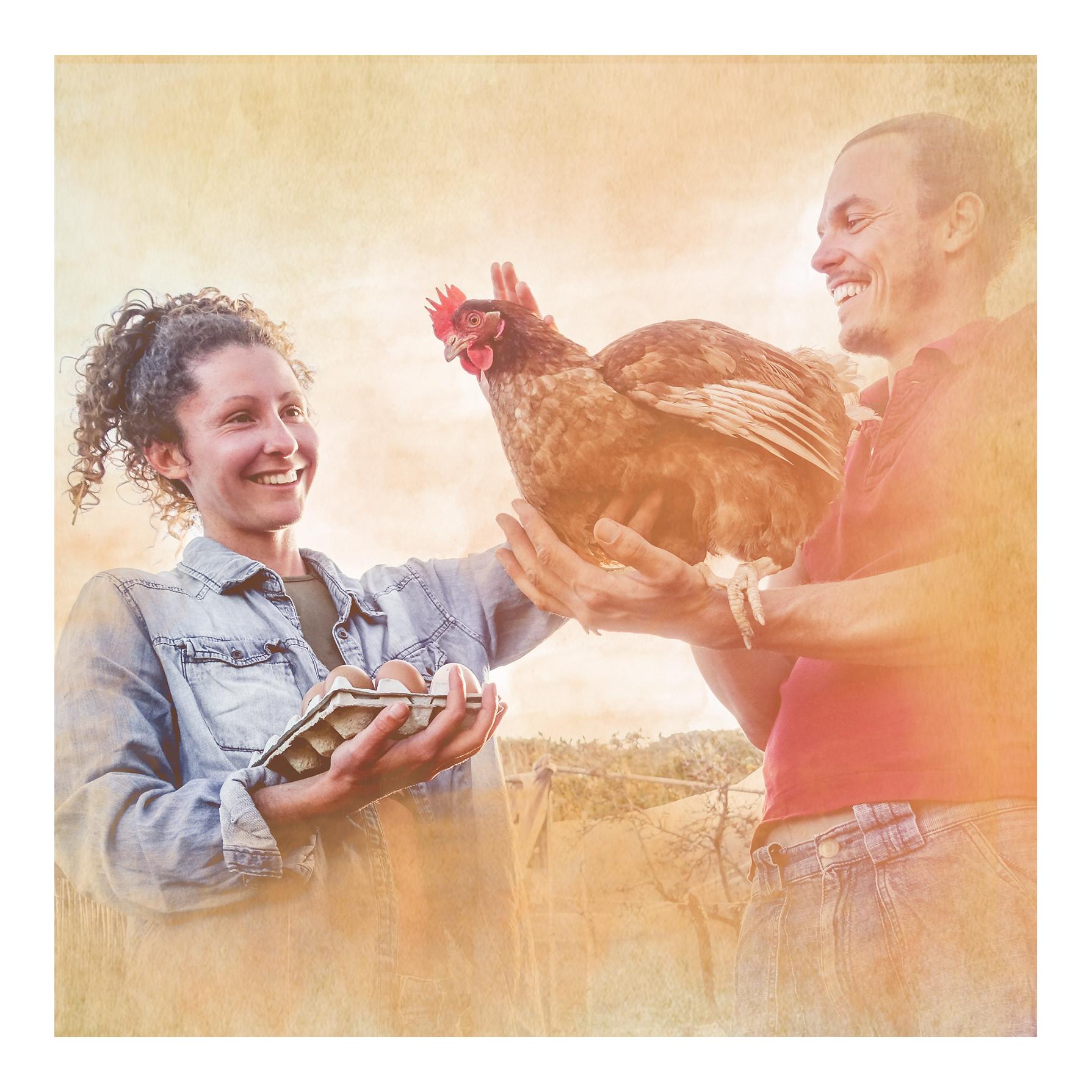 MiteProtect - für eine starke Abwehr