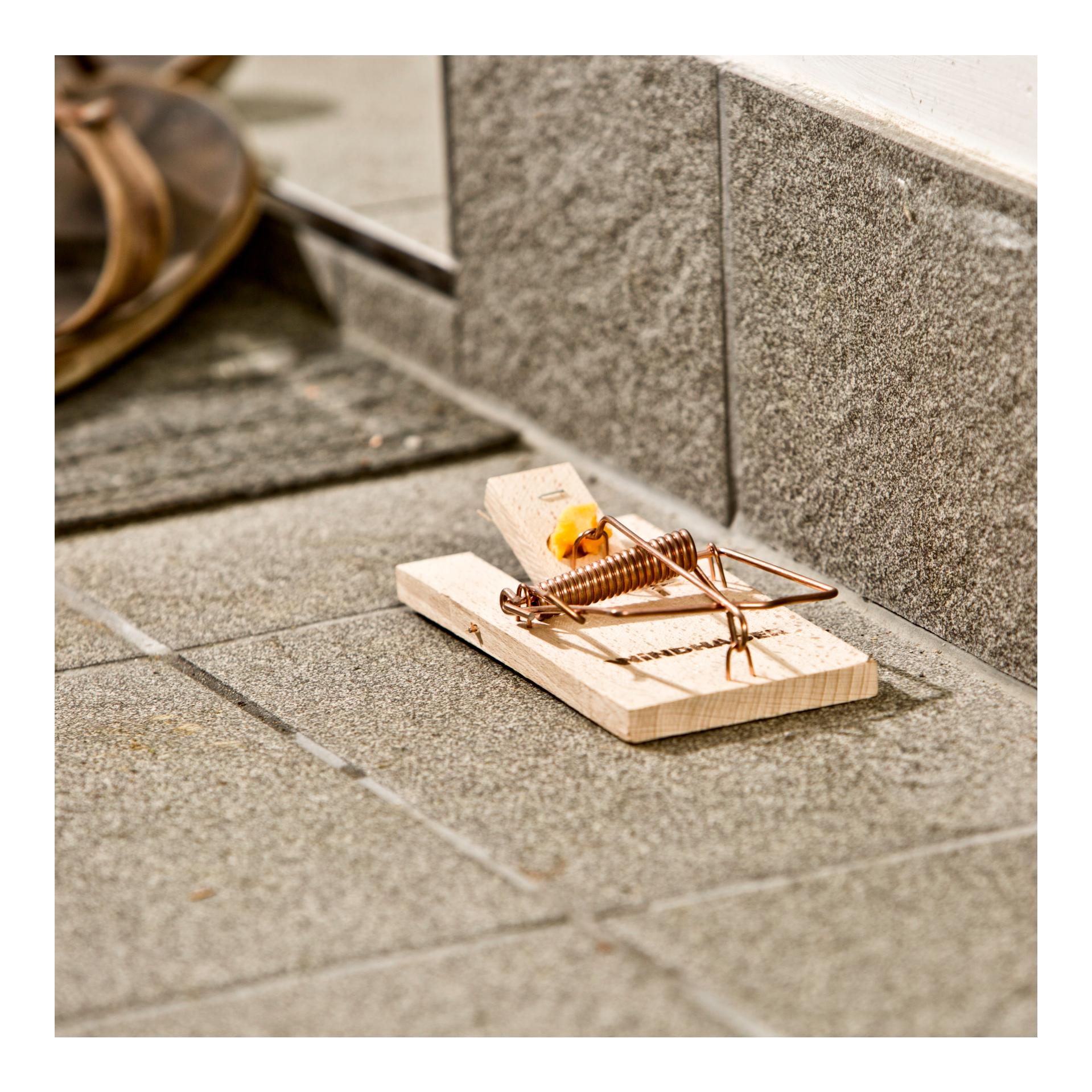 Windhager Holzfalle - Ratten