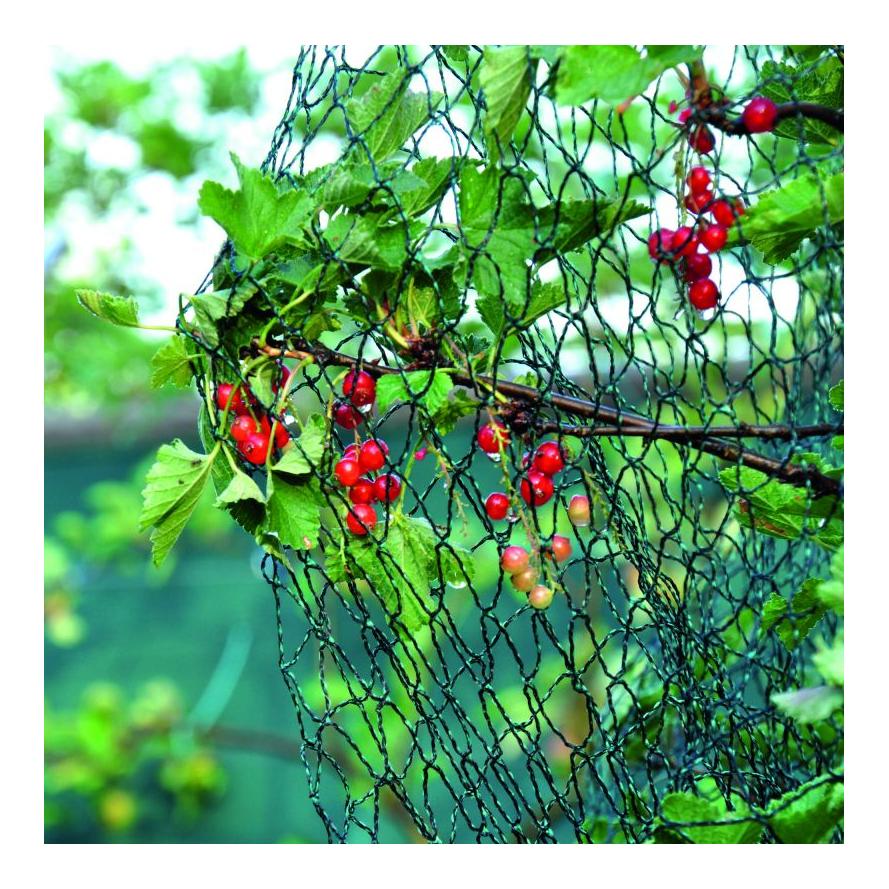 Image of Siepmann Vogelschutznetz bei Hauptner.ch