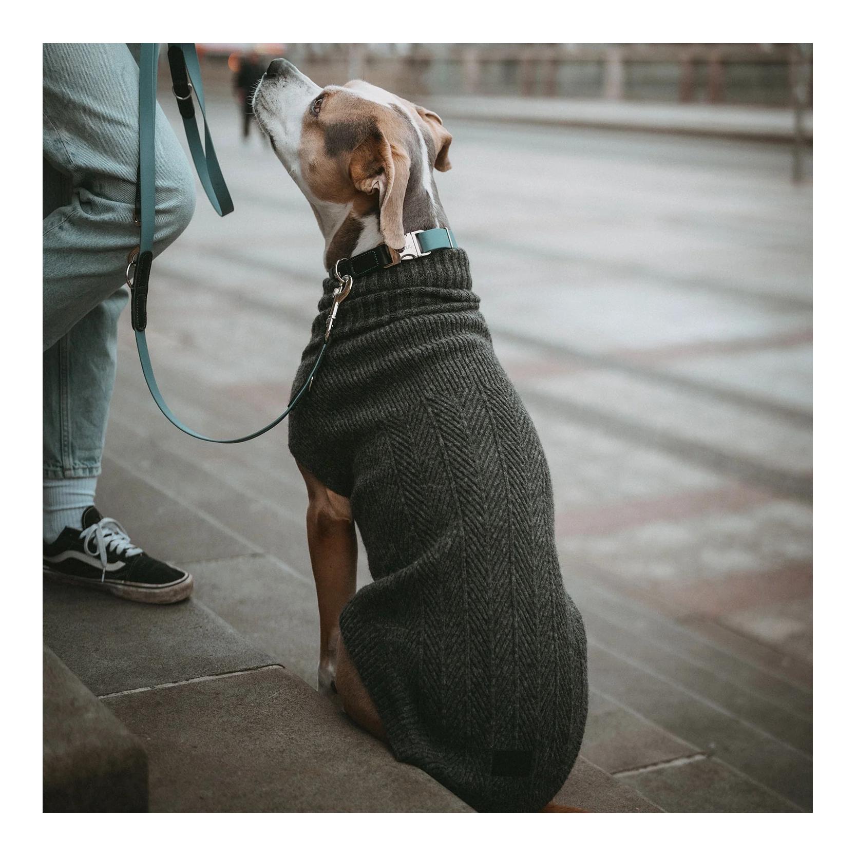 Hundepullover Genf