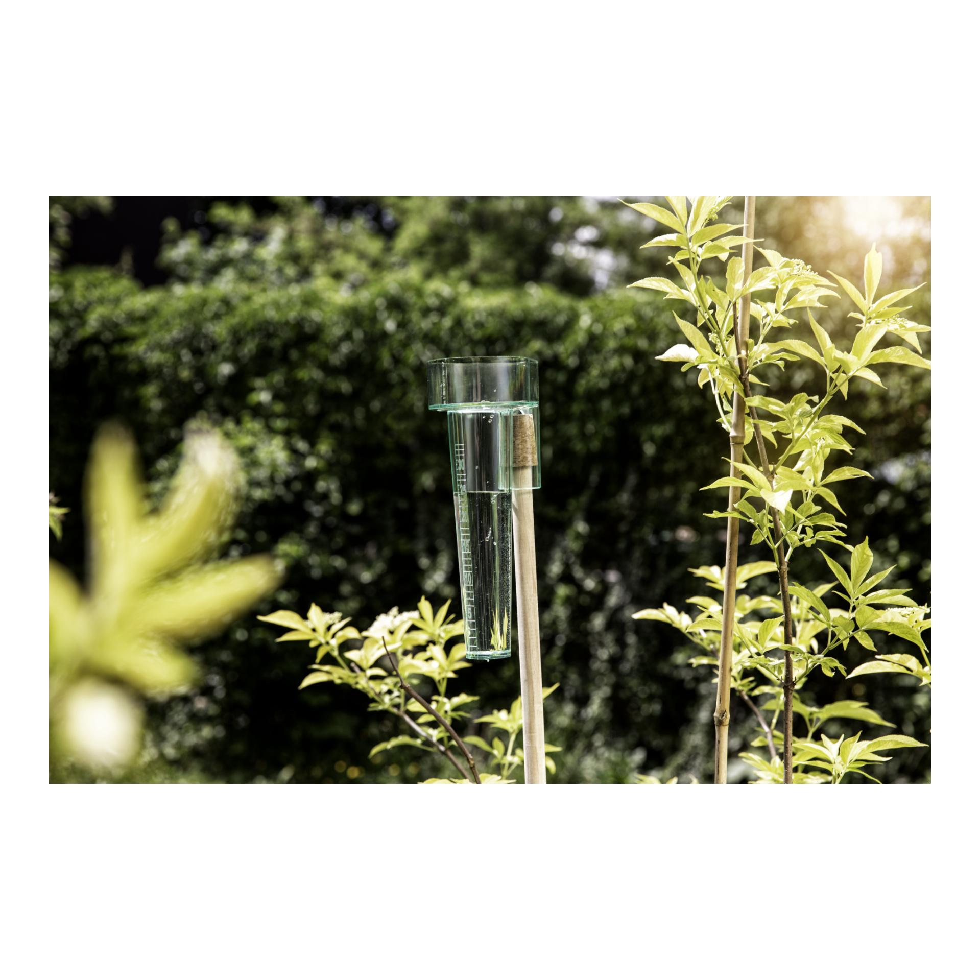 Windhager Pluviomètre à planter