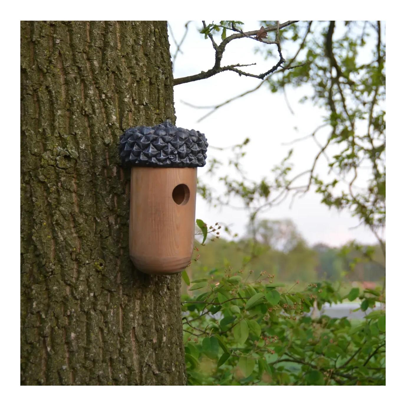 Nistkasten Eichel