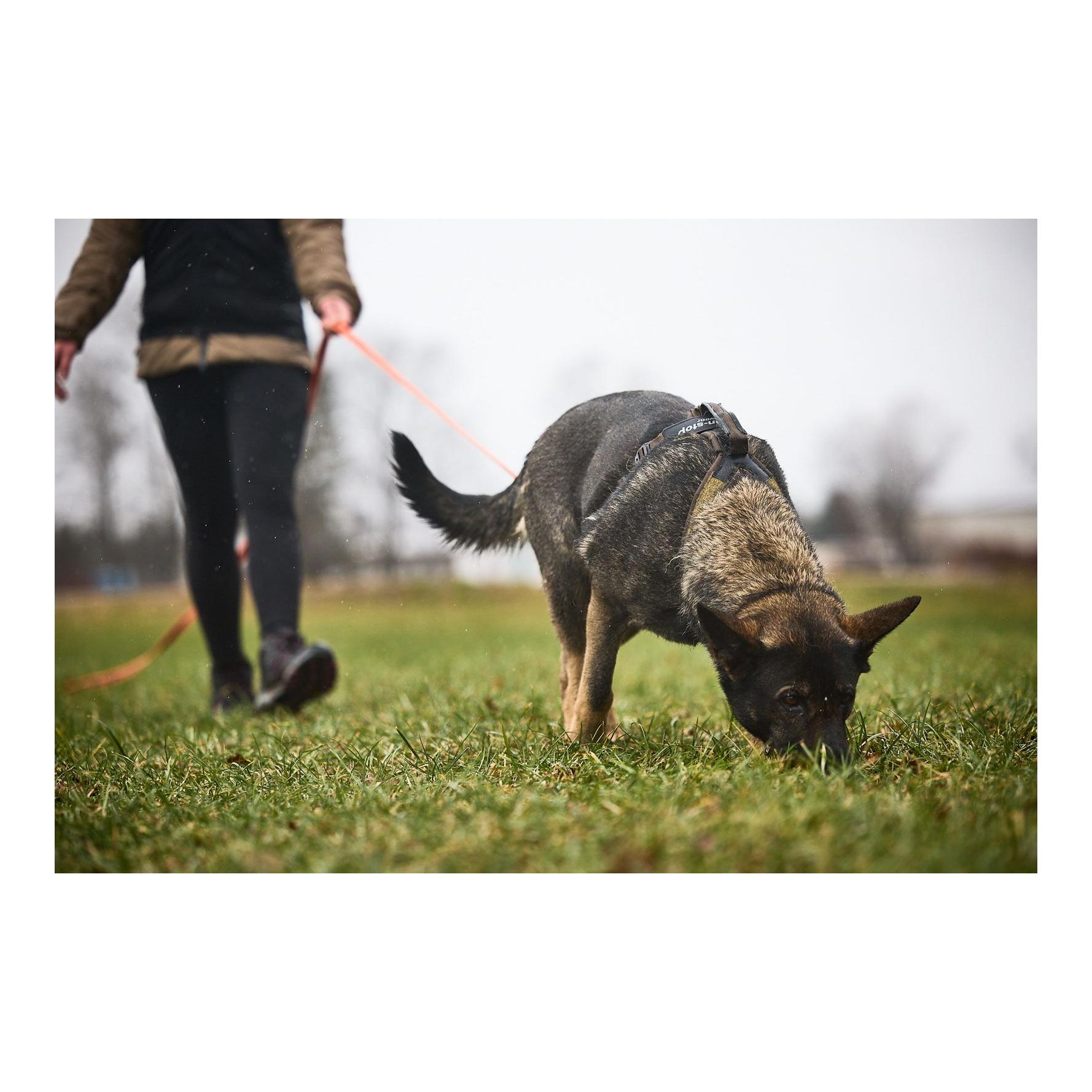 Hundegeschirr Line Harness Grip Working Dog