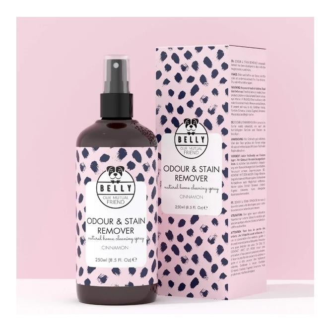 Reinigungsspray Odour & Stain Remover 