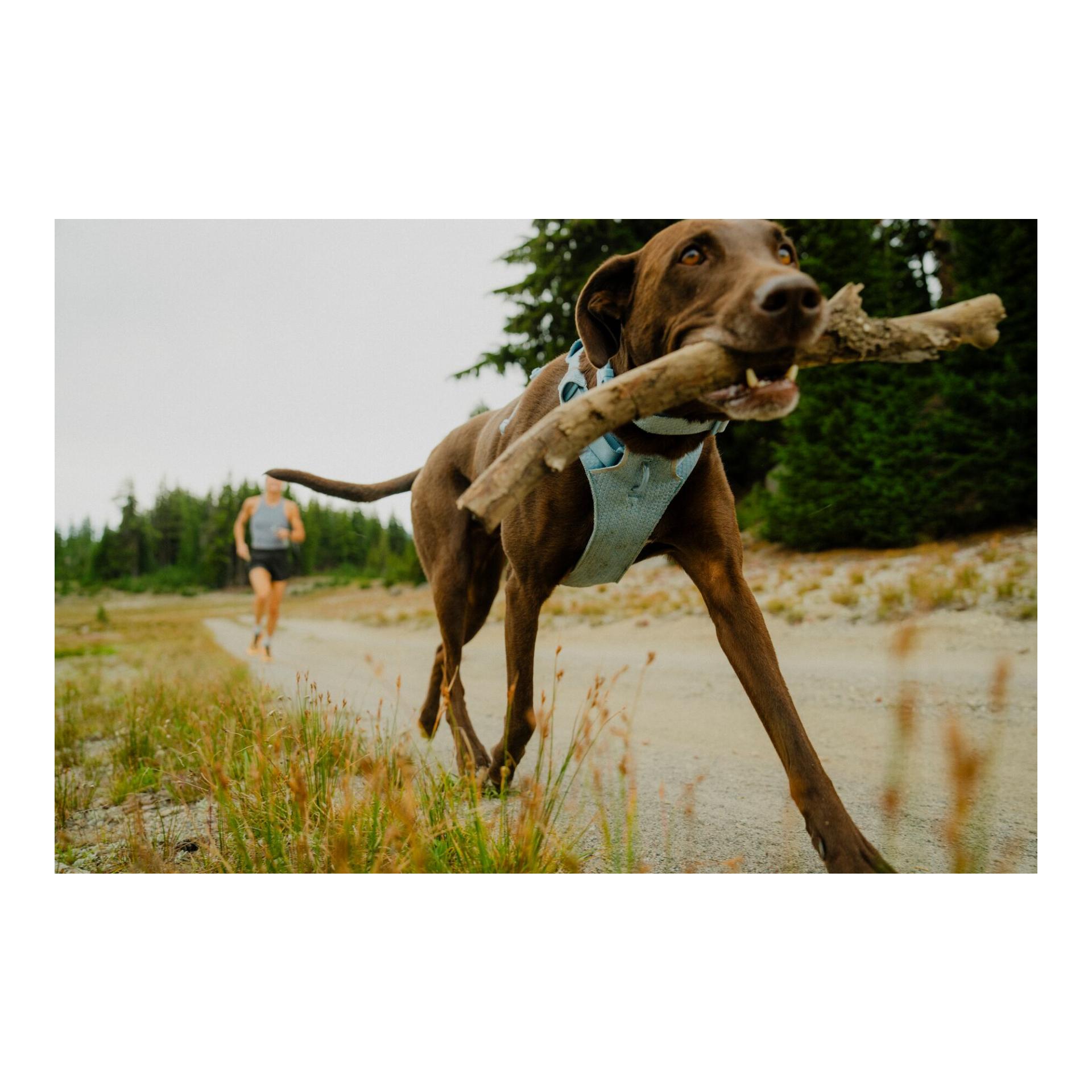 Ruffwear Front Range® Flex Hundegeschirr