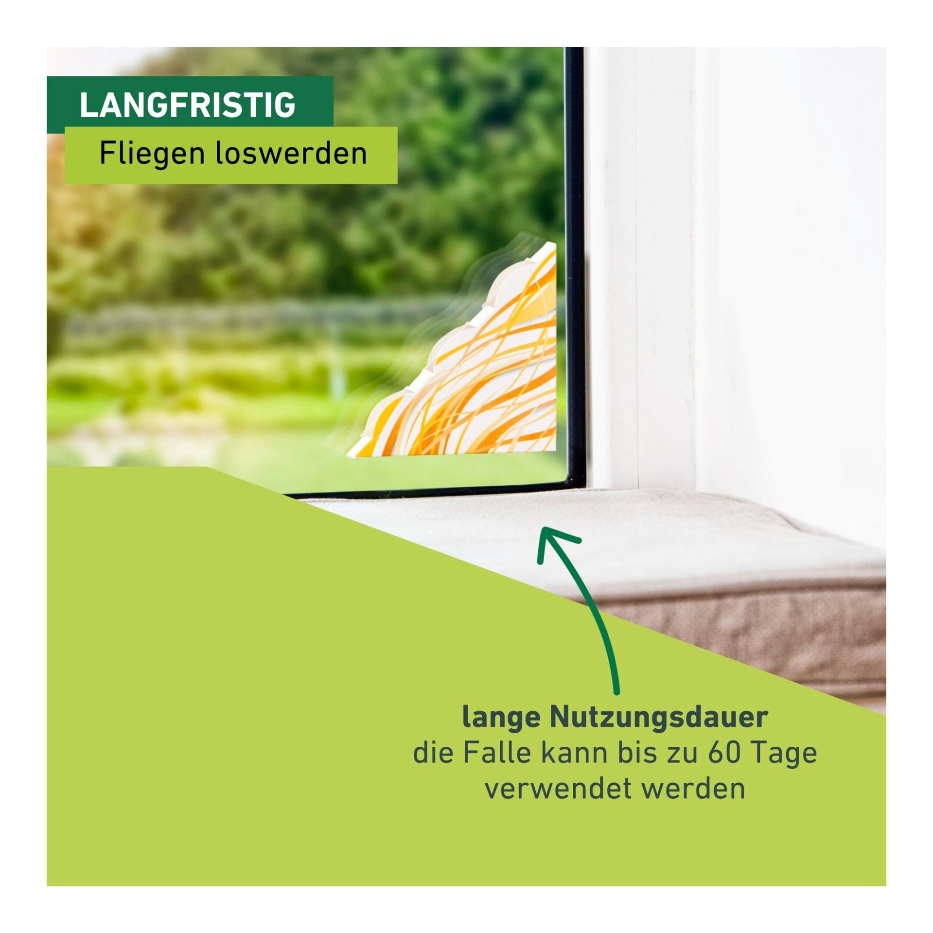 Windhager Fliegenfalle Fenster Discreet