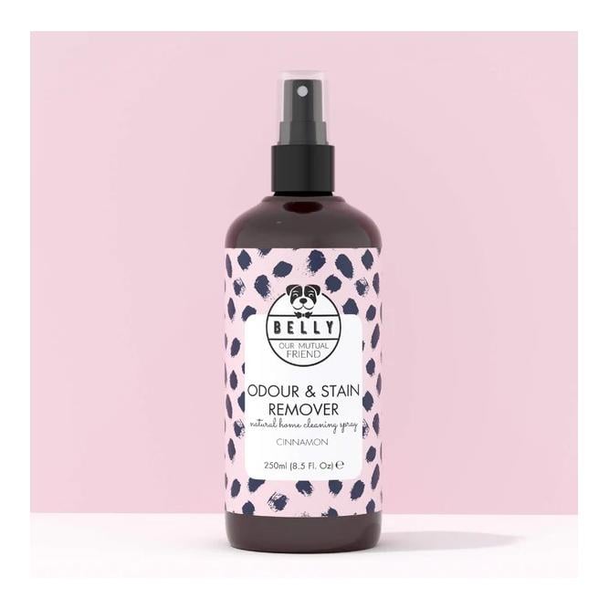 Reinigungsspray Odour & Stain Remover 