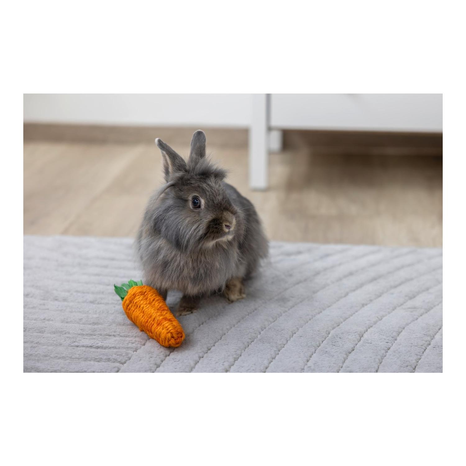 Nagetiere Spielzeug Sisalkarotte 