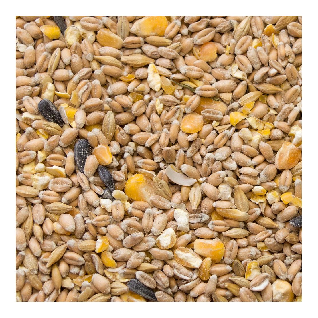 My Liitle Farm Bio Hennenkorn