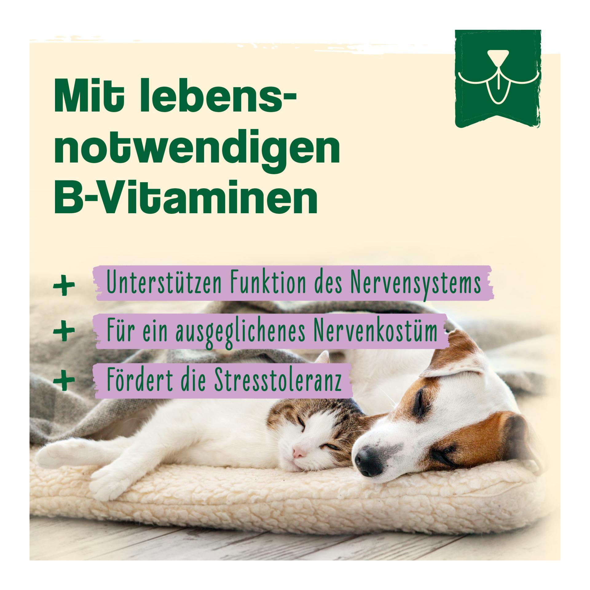 IdaPlus Bierhefe Tabletten - optimale Pflege für glänzendes Fell & kräftige Haut