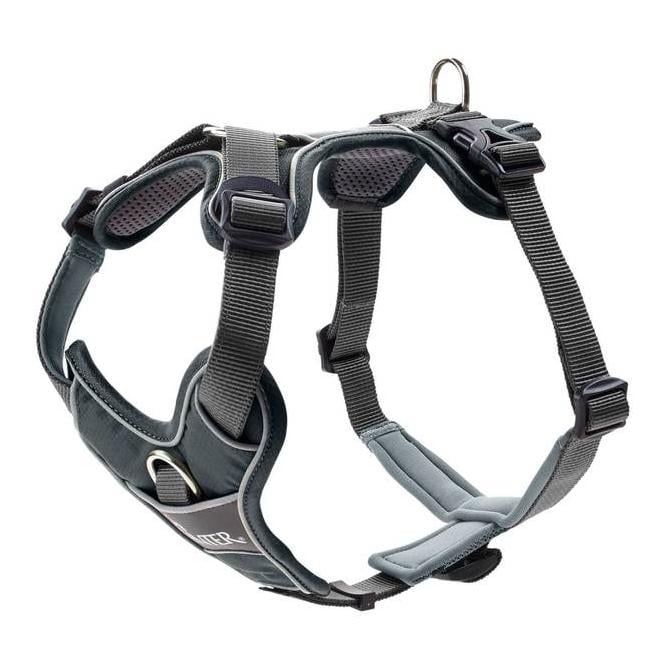 Image of Hunter Geschirr Divo - grau/grau bei Hauptner.ch