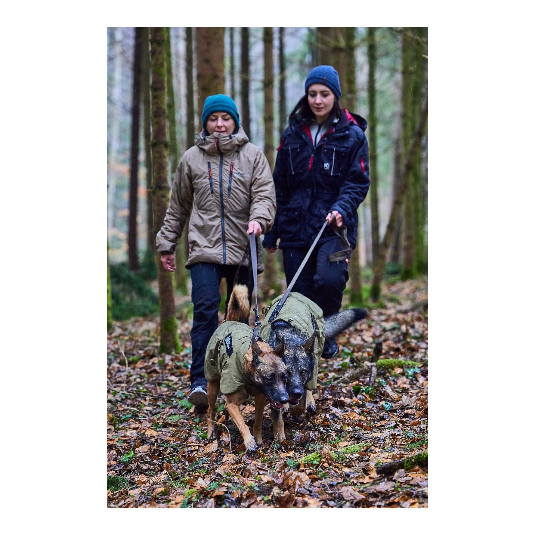 Laisse pour chien Solid Leash Working Dog