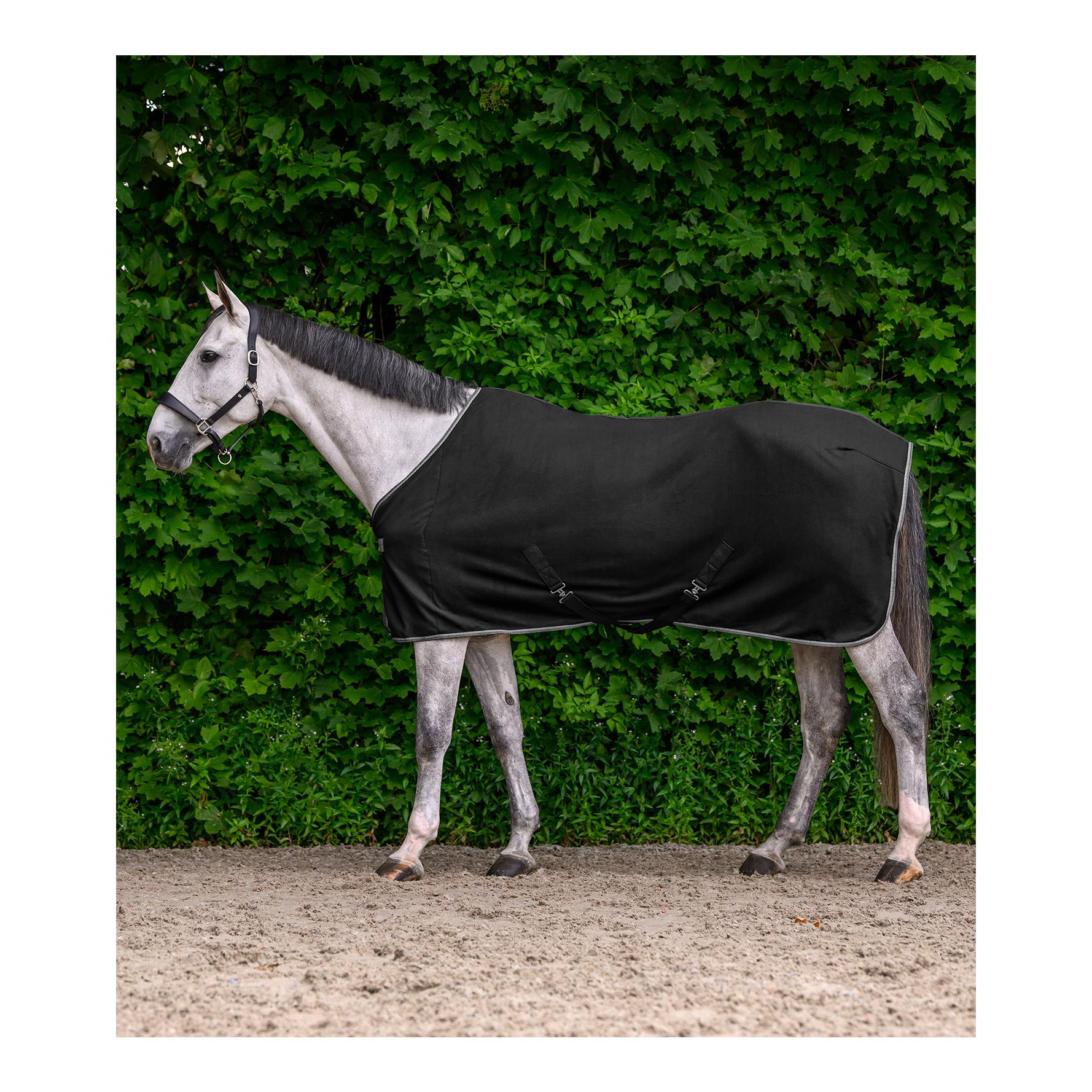 Fleecedecke mit Kreuzgurten ECONOMIC 