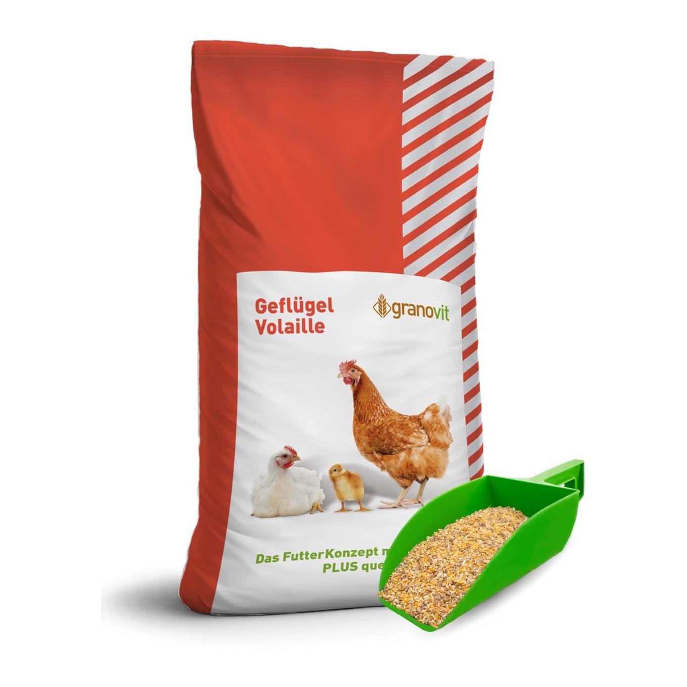 Volaille - Poules pondeuses mélange de graines