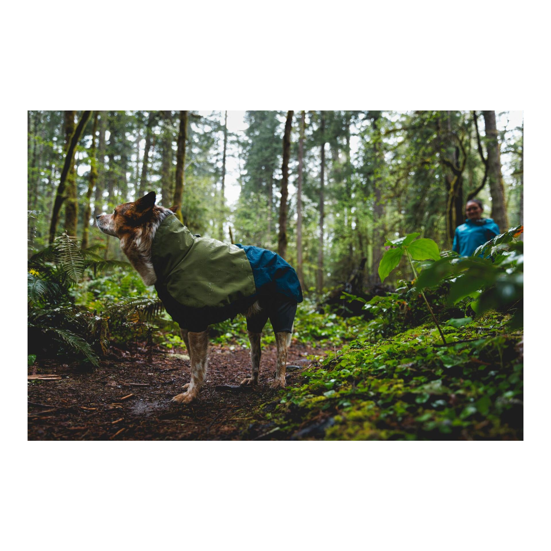 Sun Shower Coverall Hundemantel