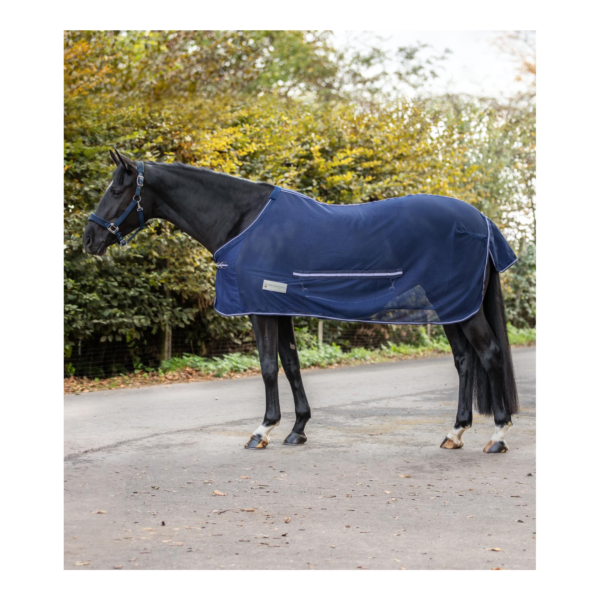 Fliegendecke Comfort mit Bauchlatz