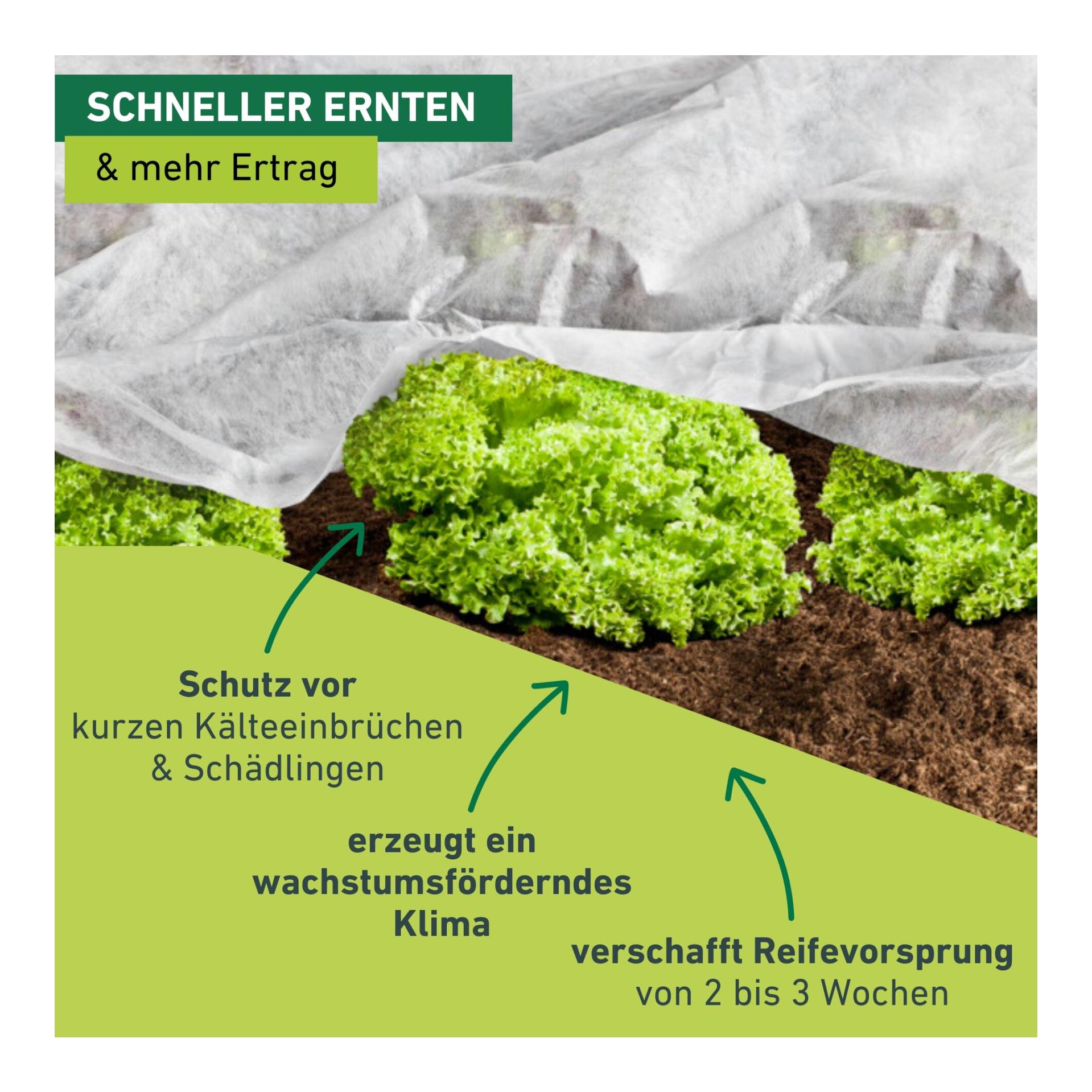 Wachstumsvlies Greenline