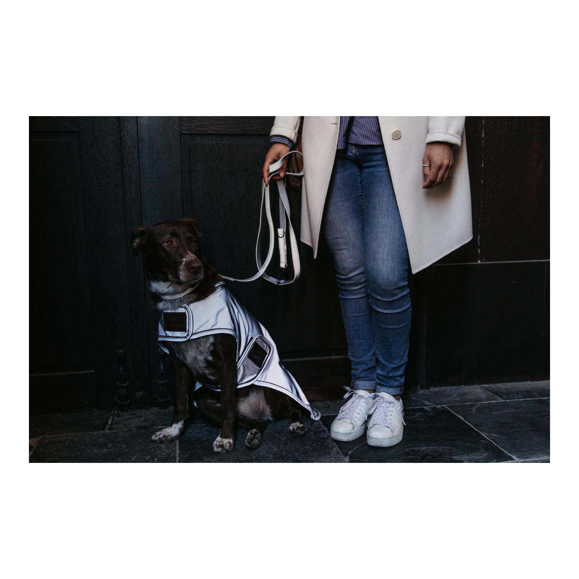 Hundemantel reflektierend & wasserabweisend
