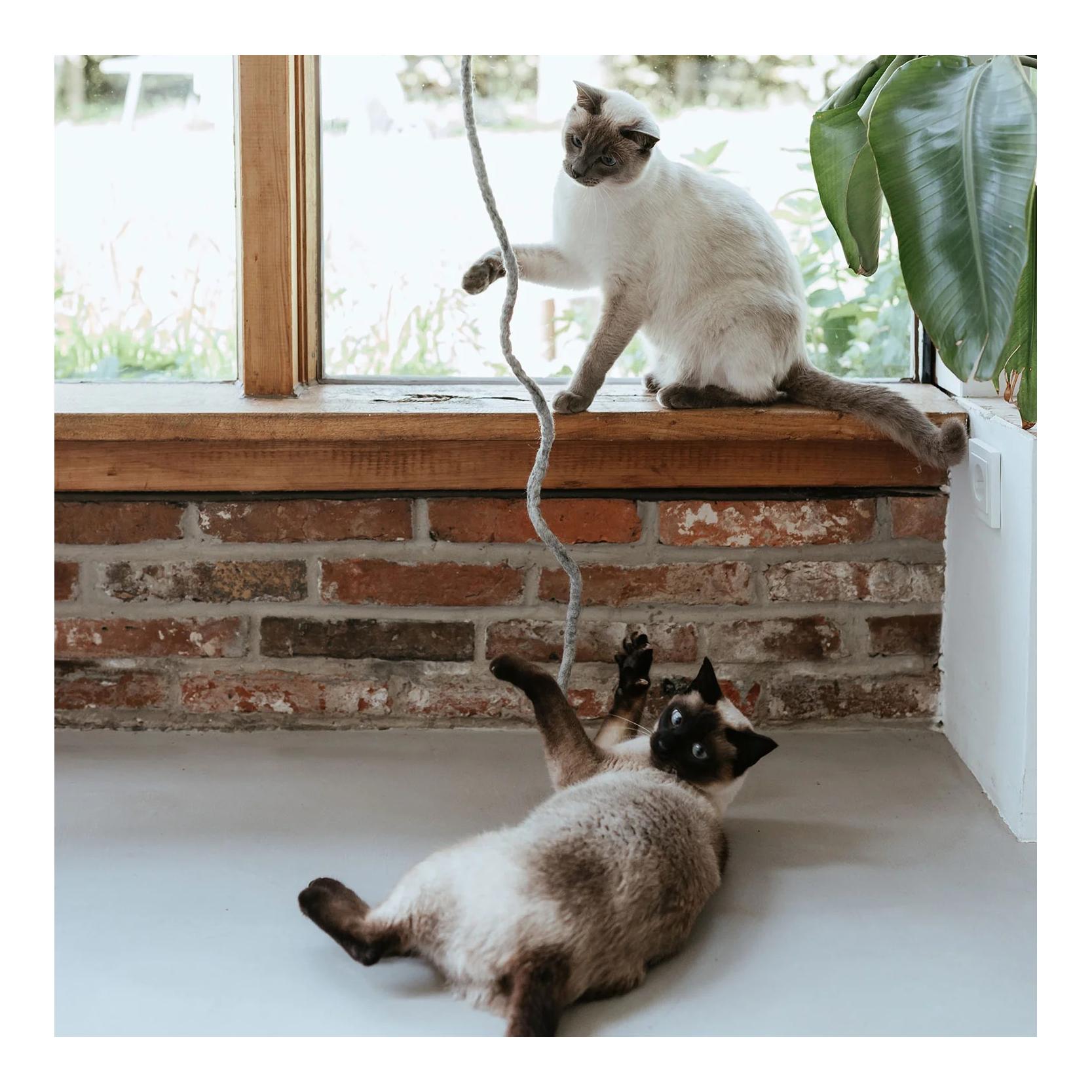 Katzenspielzeug Snaky