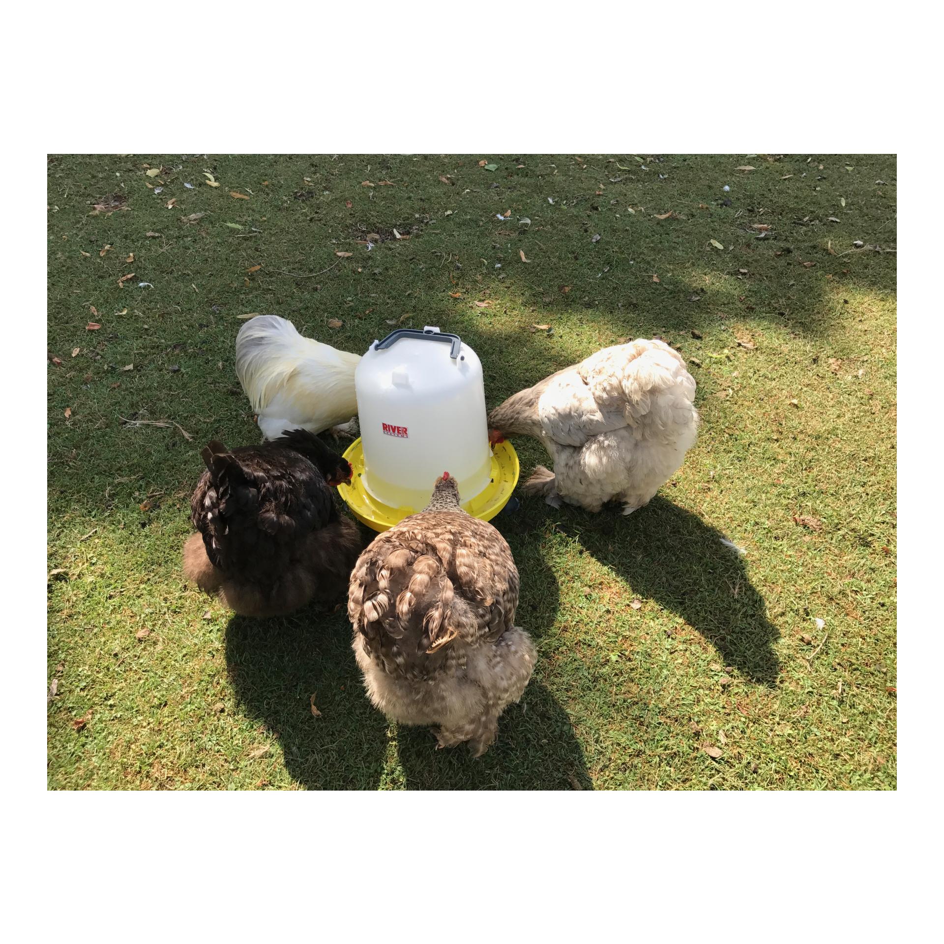 Siphontränke mit Henkel und Füssen