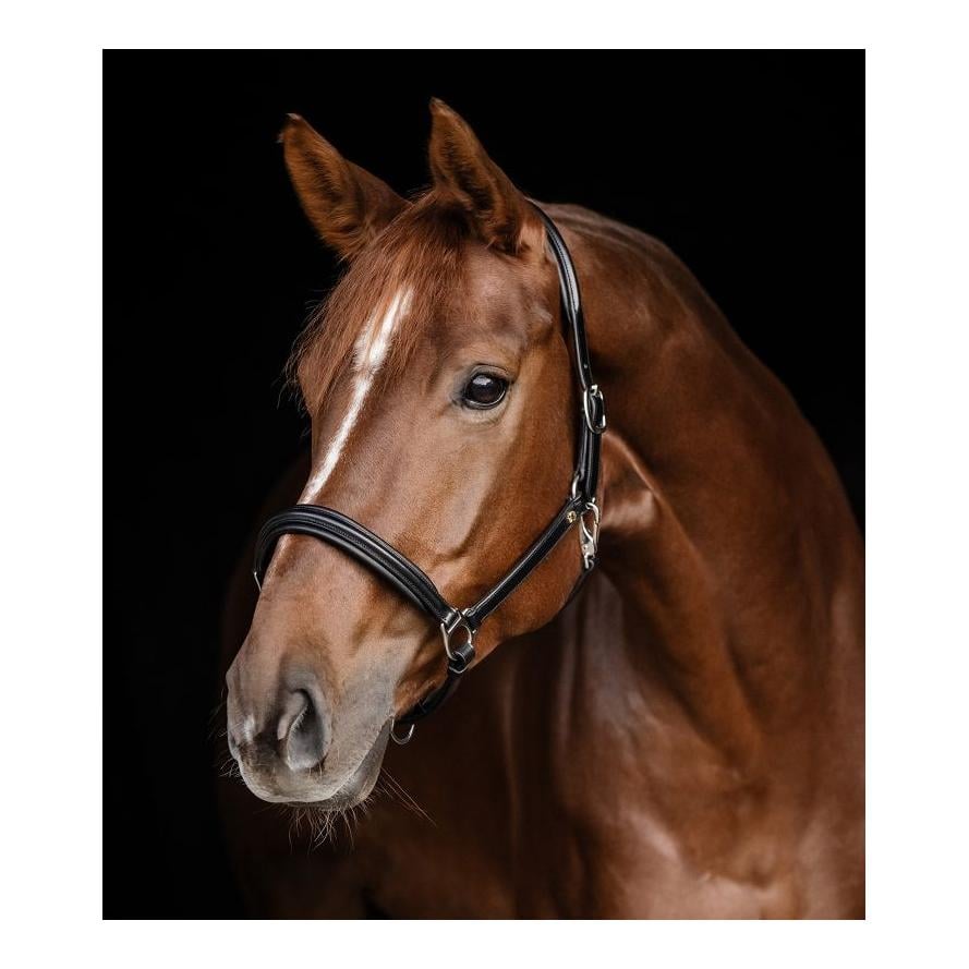 Lederhalfter S-Line Classy